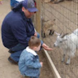 Meet your Posher, Roy